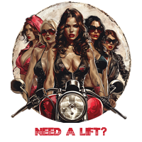 hot motorcycle gange chicks need a ride products