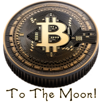 to the moon digital currency bitcoin art merch