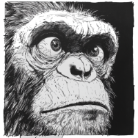 fun monkey junkie art merch