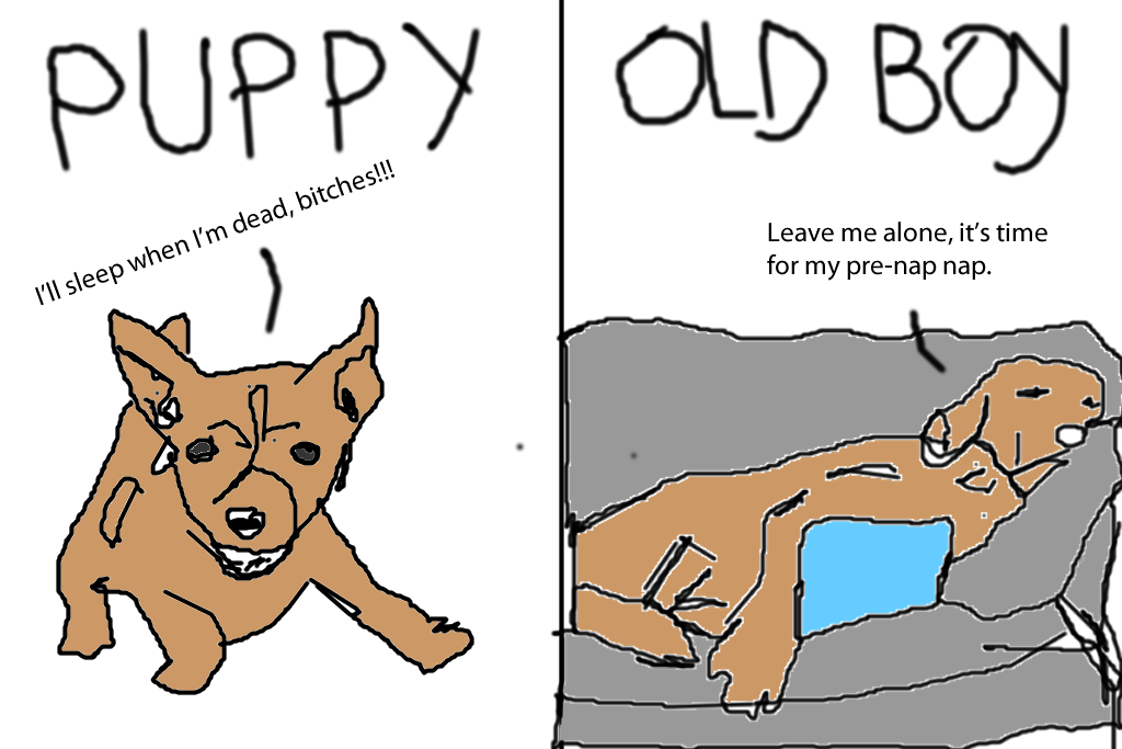 dogs digital comic artwork