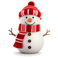 super cute winter wonderland snowman design