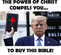 trump is a schyster meme